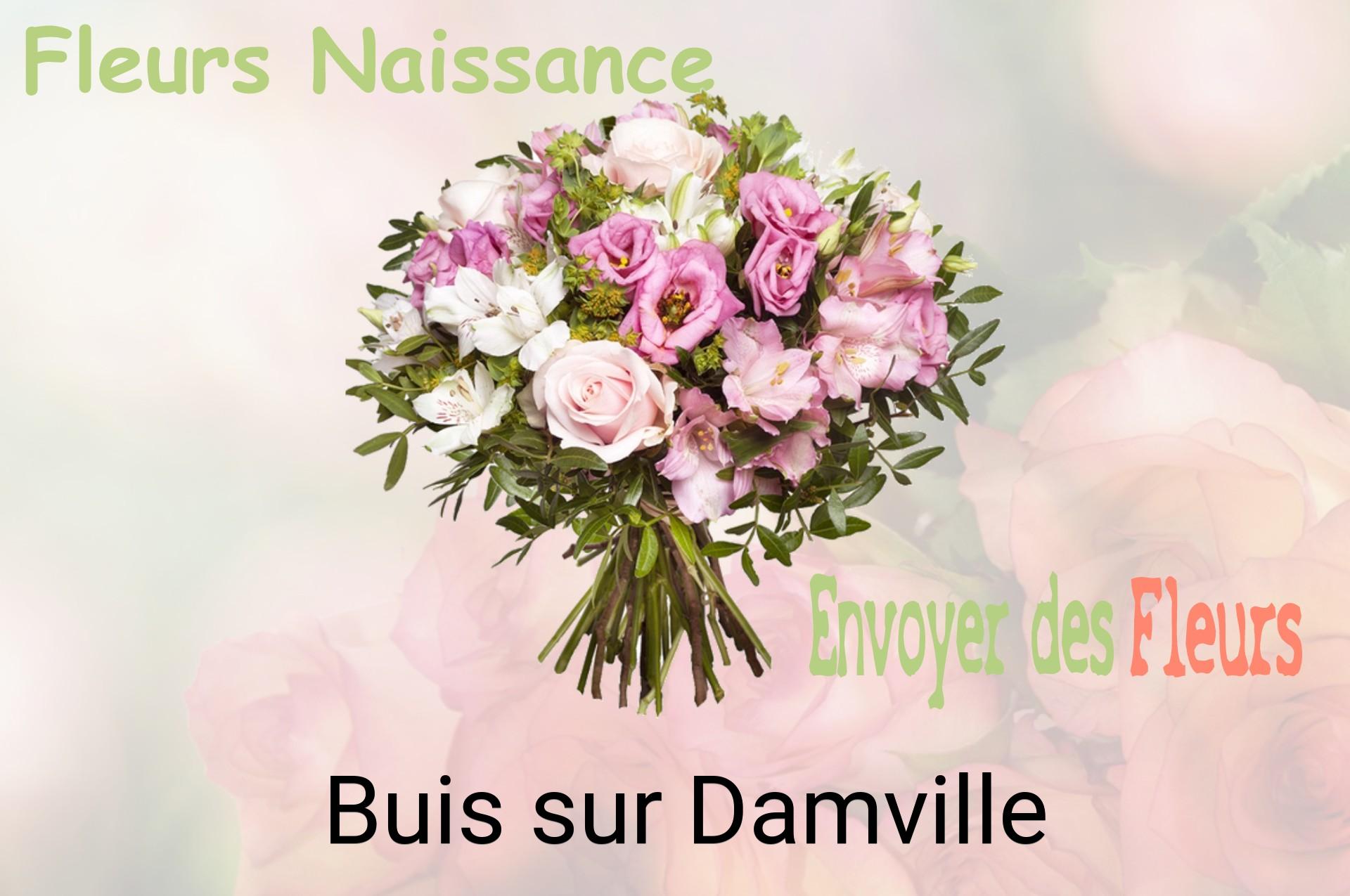 Bouquet de fleurs de naissance livré à Buis-sur-Damville